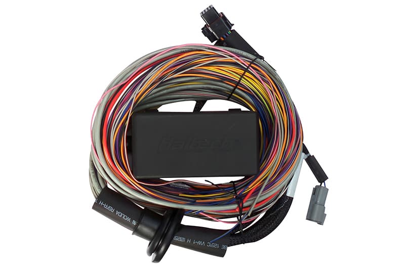 Haltech Wire-In Harness for Elite 750 Universal 2.5m (8ft)