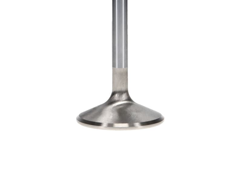 Manley Performance Race Master Stainless Steel Valves with Chrome Stems and H... - Image 5
