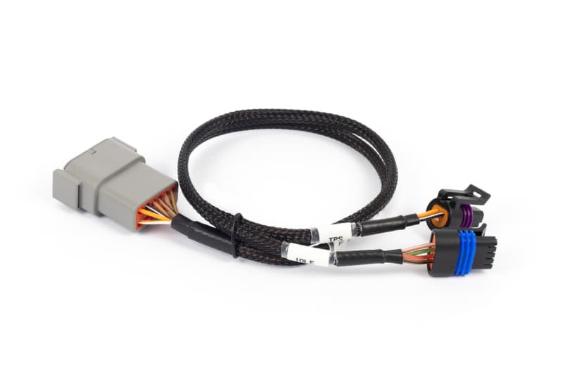 Haltech NEXUS Rebel LS Wire-In Harness for LS Engines Cable Throttle & IAC - Image 2