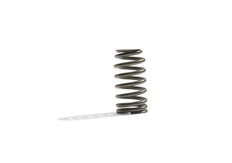 Ford Racing Valve Spring Kit for Model A High-Performance M-6513-M50BR - Image 5