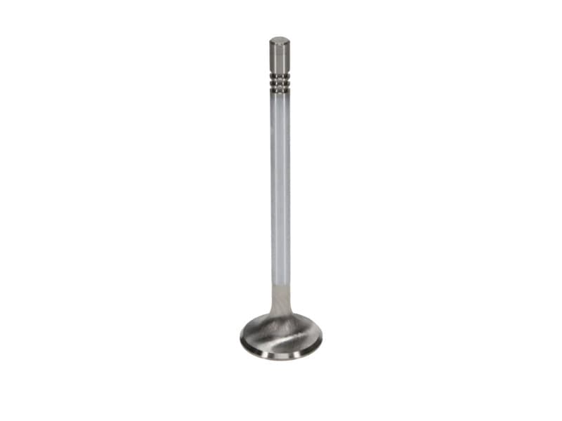Manley Performance Race Master Stainless Steel Valves with Chrome Stems and H... - Image 4