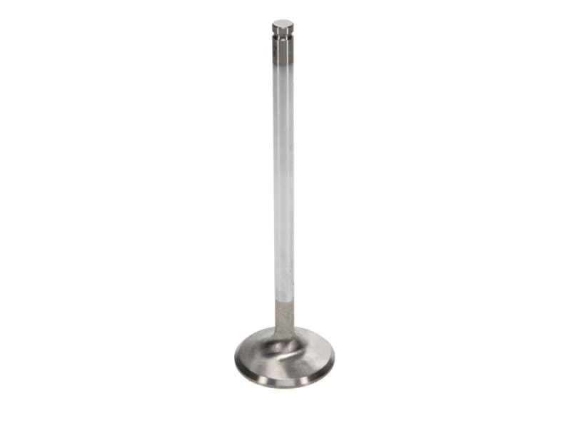 Manley Performance Race Master Stainless Steel Valves with Chrome Stems and H... - Image 3