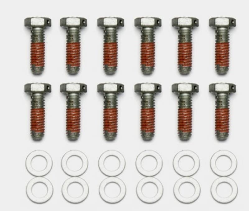 Wilwood Rotor Bolt Kit for Chevy C6 with Hardware and Mounting Bolts