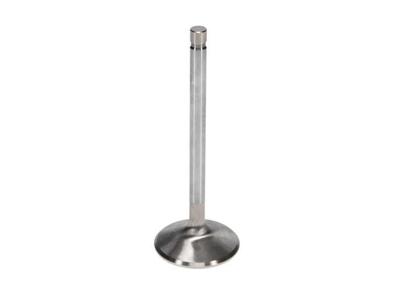 Manley Performance Race Master Stainless Steel Valves with Chrome Stems and H... - Image 4