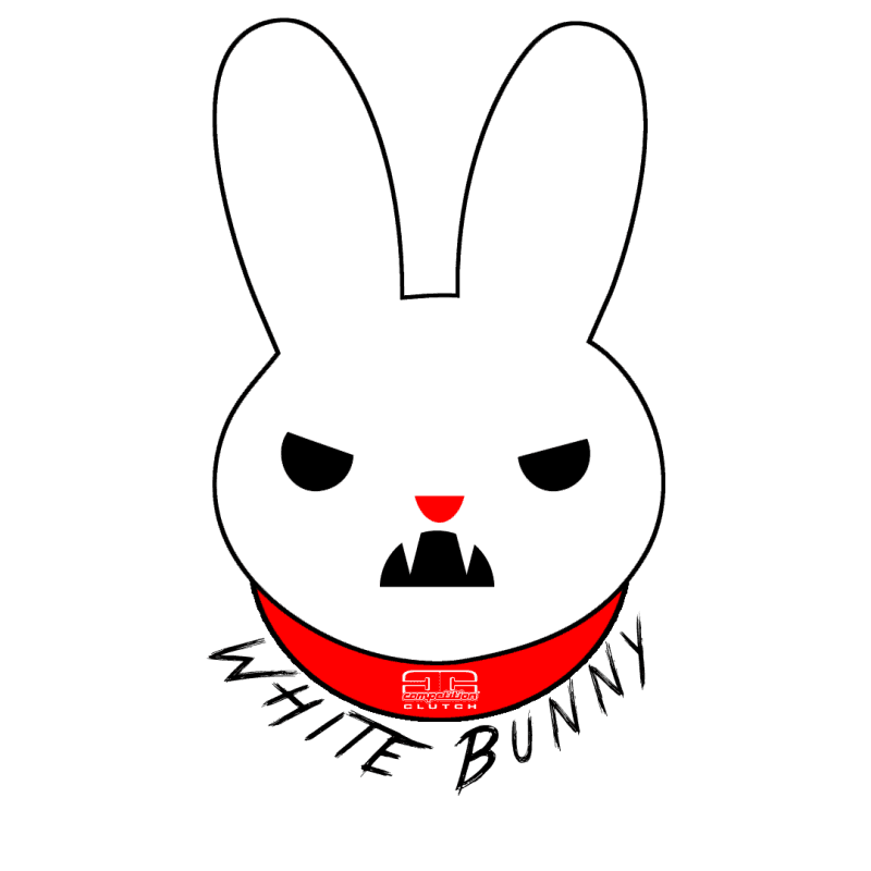 Competition Clutch White Bunny Clutch Kit for Chevy C6 Complete Assembly - Image 4