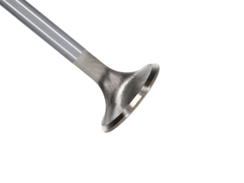 Manley Performance Race Master Stainless Steel Valves with Chrome Stems and H...