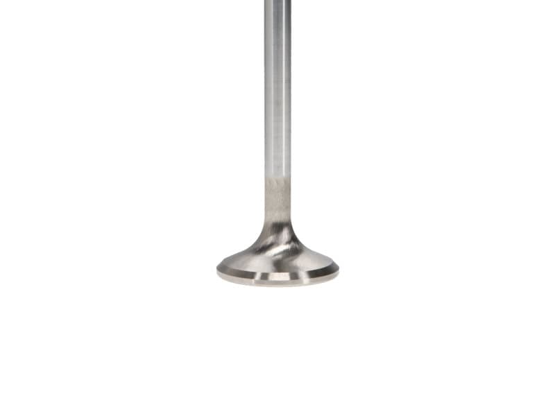Manley Performance Race Master Stainless Steel Valves with Chrome Stems and H... - Image 5