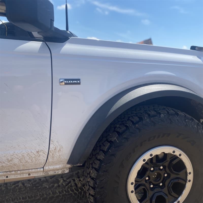 Ford Racing Goat Badge for Ford Mustang Black/Chrome UV Resistant 4.5in x 1.36in - Image 4