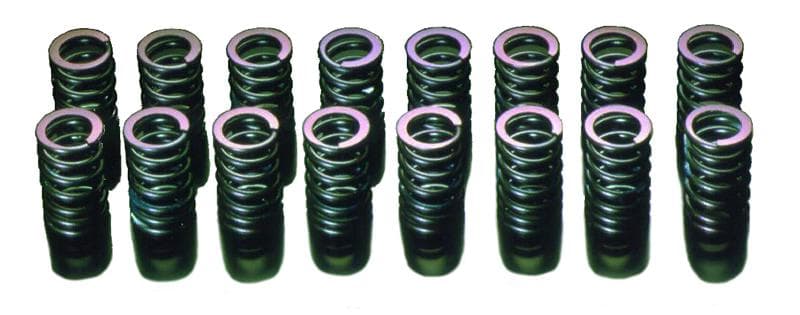 HKS Valve Springs for RB26DETT Upgraded Step2 - Image 2
