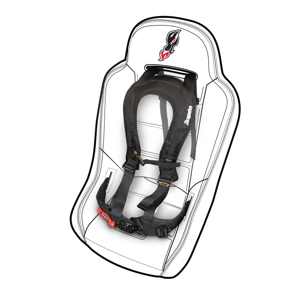 Dragonfire Racing Evo Safety Harness