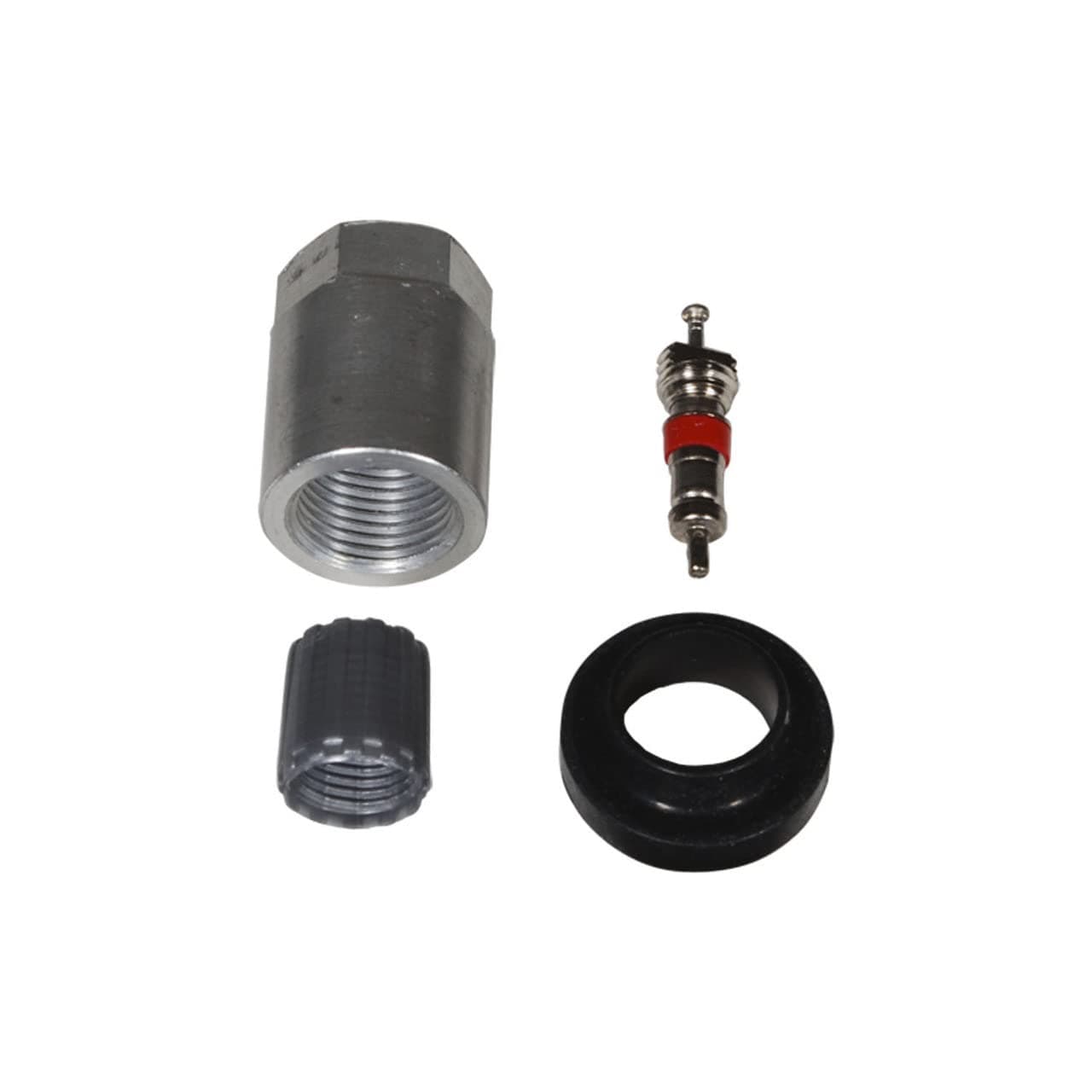 Denso 999-0618 TPMS Maintenance Kit for Hummer Isuzu