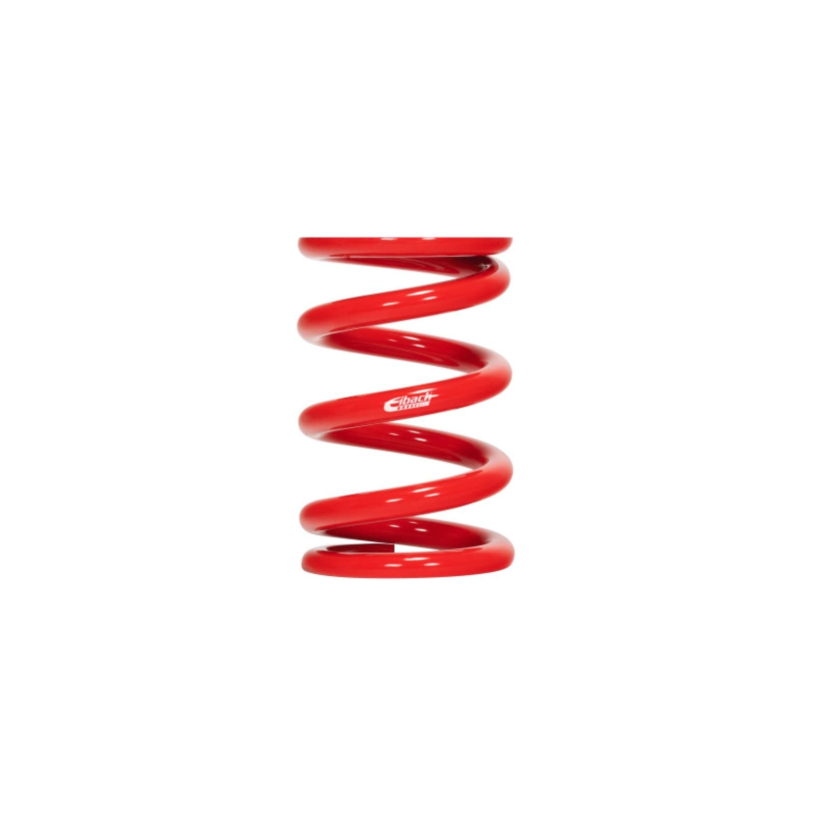 Eibach ERS Race Springs for Chevy C6 Linear Rate High-Quality - Image 2