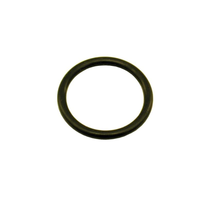 Nitrous Express 1-1/8 O-Ring for 5lb-15lb Bottle Valve - Image 2