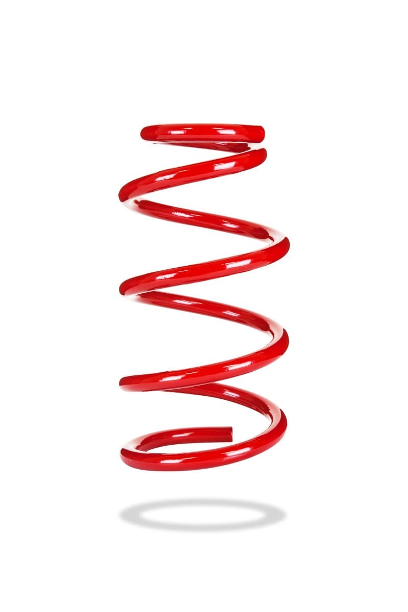 Pedders Standard Height Spring for Chevy C6 - Image 2