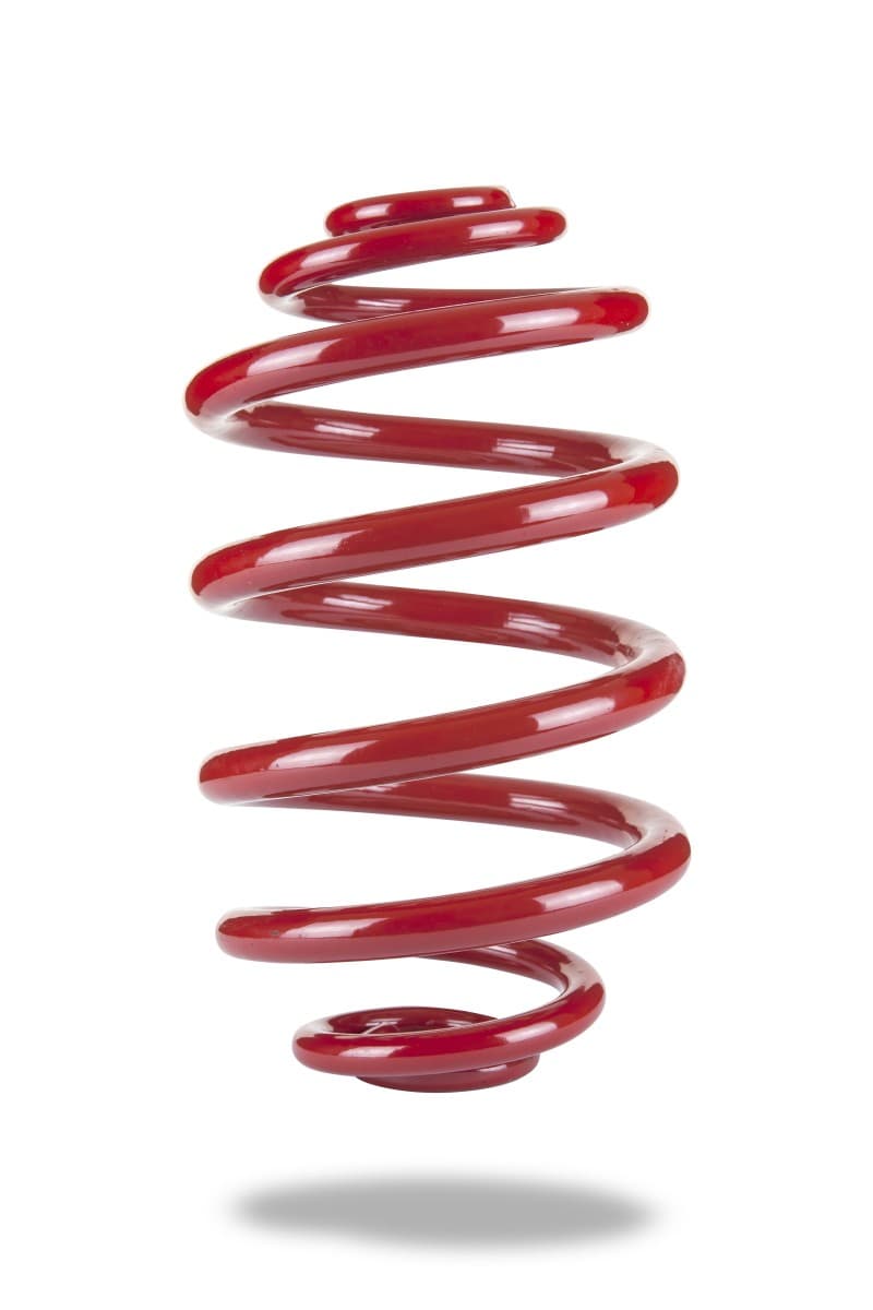 Pedders Standard Height Spring - Image 2
