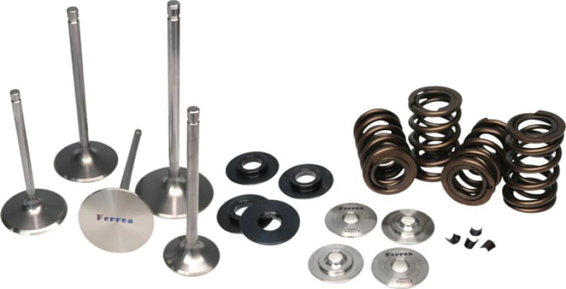 Ferrea Valve Spring Kit for Honda S2000 Dual Spring - Image 2