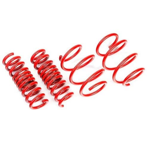AST Lowering Springs for Chevy C6 Progressive Design OEM Replacement - Image 2